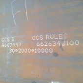 CCS GRADO D SHOE DE ACERO DE CONBUIR ANTERIOR